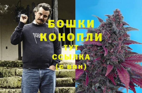 гидра Абдулино