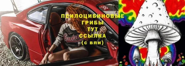 гидра Абдулино