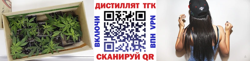 ТГК вейп  omg зеркало  Магадан 